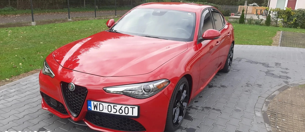 Alfa Romeo Giulia cena 115900 przebieg: 19000, rok produkcji 2022 z Warszawa małe 562